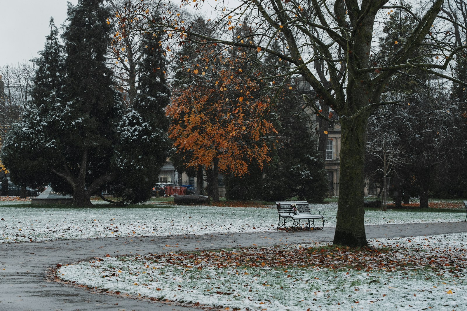 A park bench sitting next to a tree covered in snow