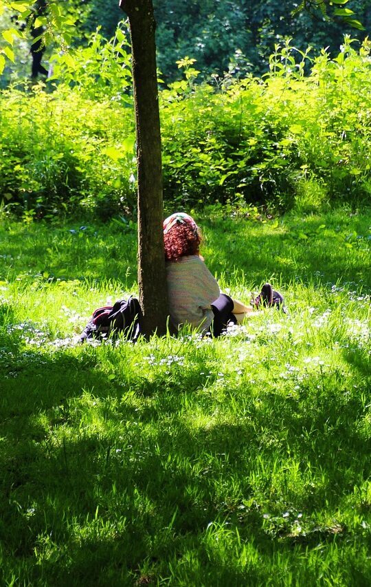 park, alone, green, outdoor, girl, person, female, nature, young, woman, lifestyle, tree, relaxation, leisure, grass, summer, healthy, one, sitting, meditating, attractive, peaceful, wellness, contemplation, harmony, calm, tranquility, green meditation, green relax, green alone, green healthy, green calm, green peace, green wellness, green park, contemplation, contemplation, contemplation, contemplation, contemplation, tranquility, tranquility