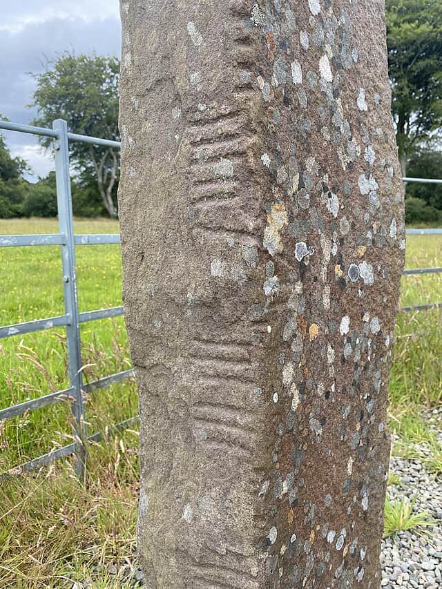 Carved runes on stone amidst greenery and a metal fence in the background.