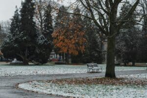A quiet park scene featuring snow-dusted grass, bare trees, and a bench, reflecting stillness and seasonal change.