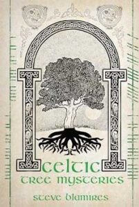 This website focuses on modern Celtic spirituality, druidry, nature veneration, and educational cont.