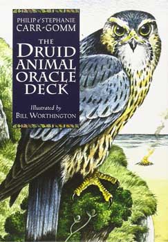 Detailed illustration of an owl perched on a branch, with lush greenery and a calm landscape in the.
