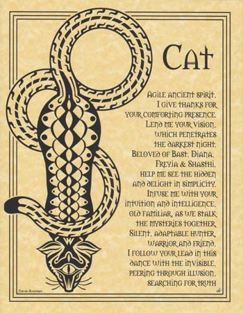 Illustration of a Celtic snake symbol with a cat, representing Celtic spirituality and nature revere.