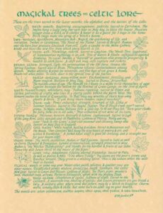 A detailed text about Celtic trees and their spiritual significance.