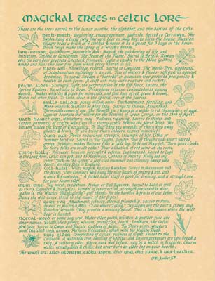 A detailed text about Celtic trees and their spiritual significance.