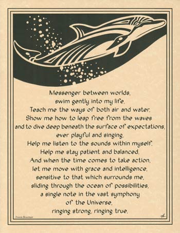 Dolphin illustration with bubbles, symbolizing harmony and connection with nature.