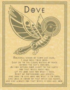 Dove illustration with Celtic-style patterns and a halo, symbolizing peace and spirituality.