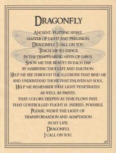 A dragonfly illustration with wings spread, centered on a beige parchment background.