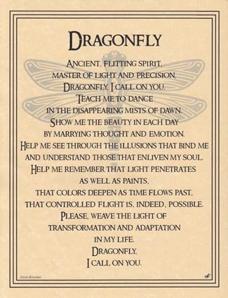 A dragonfly illustration with wings spread, centered on a beige parchment background.