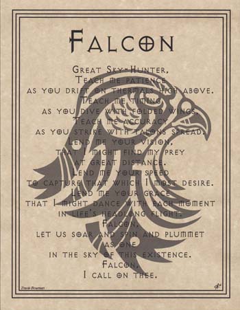 Illustration of a falcon with Celtic symbols, related to modern Celtic spirituality and druidry.