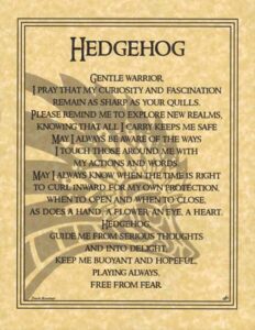 A poem about a hedgehog, a gentle warrior, with themes of curiosity, protection, and hope.