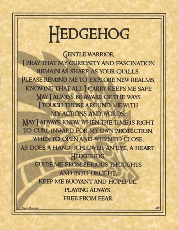 A poem about a hedgehog, a gentle warrior, with themes of curiosity, protection, and hope.