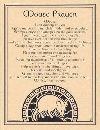 Guide me to the truth hidden within and overlooked.