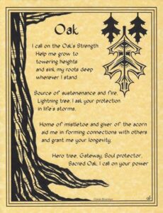 Poem about oak tree's strength, protection, and longevity in Celtic spirituality.