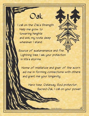 Poem about oak tree's strength, protection, and longevity in Celtic spirituality.