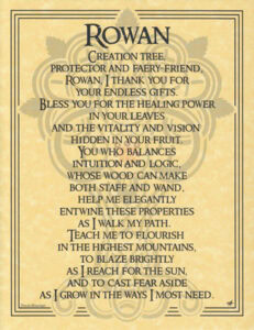 This website focuses on modern Celtic spirituality, druidry, nature veneration, and educational cont.