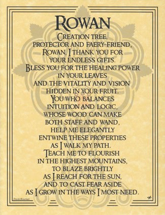 This website focuses on modern Celtic spirituality, druidry, nature veneration, and educational cont.