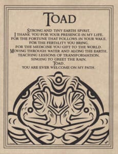 This website focuses on modern Celtic spirituality, druidry, nature veneration, and educational cont.