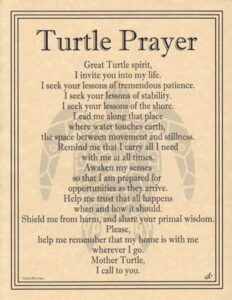 Image of a Turtle Prayer poem emphasizing Celtic spirituality, nature reverence, and personal reflec.