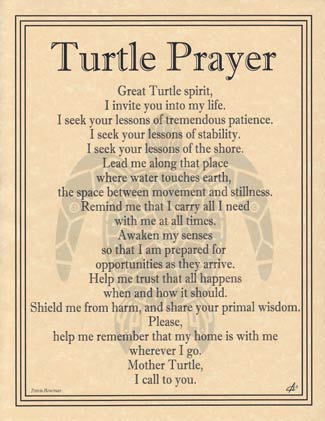 Image of a Turtle Prayer poem emphasizing Celtic spirituality, nature reverence, and personal reflec.