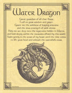A detailed illustration of a water dragon curled around itself, with scales and fins visible.