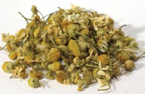 Dried chamomile flowers with stems, used for herbal teas and natural remedies.