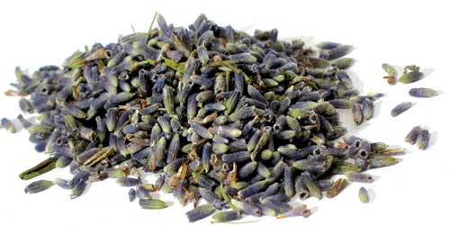 Dried lavender buds for herbal and spiritual use, related to Celtic traditions.