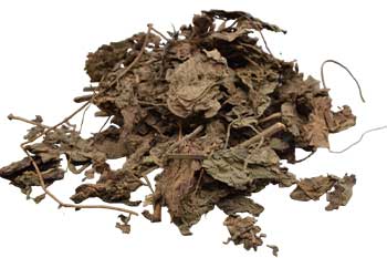 Dried dandelion leaves and stems, used in herbal remedies and traditional Celtic practices.