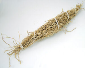 Root bundle for herbal or spiritual practices, tied with white string.