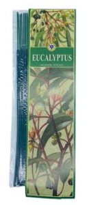 Illustration of eucalyptus branches with leaves and flowers.