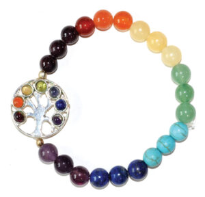 Bracelet featuring multicolored beads representing the chakras and a silver tree of life pendant.
