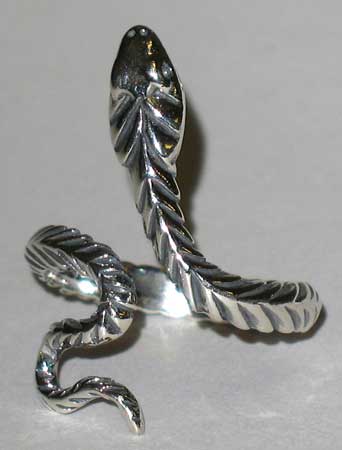 This website focuses on modern Celtic spirituality, druidry, nature veneration, and educational cont.