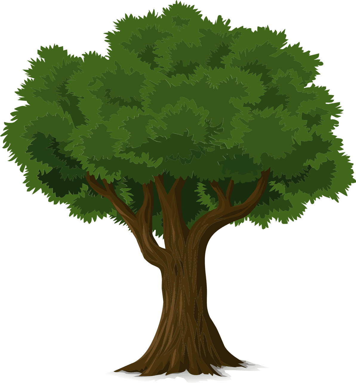 A detailed illustration of a vibrant green Celtic tree with dense leaves and strong branches.
