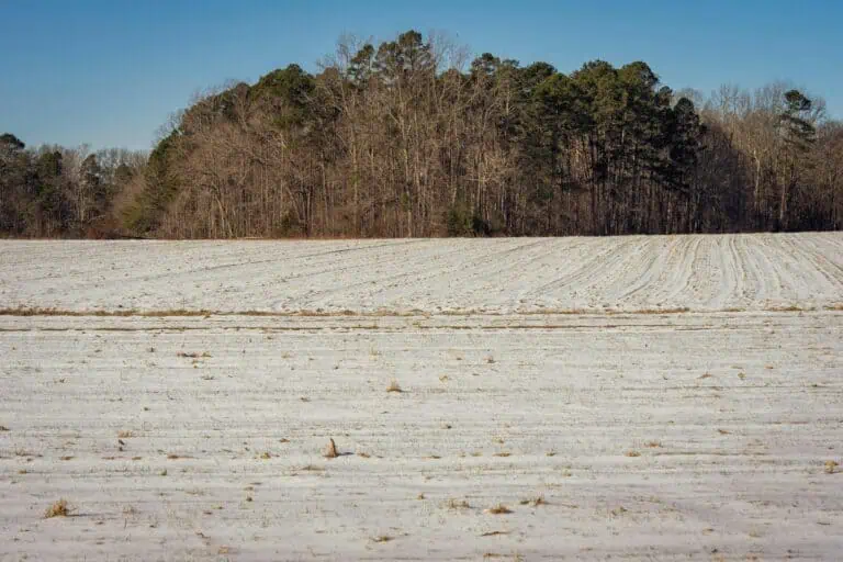A winter scene of a plowed, fallow field with a forested hill in the background under a clear blue sky.