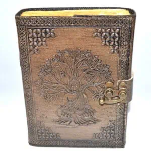 This website focuses on modern Celtic spirituality, druidry, nature veneration, and educational cont.
