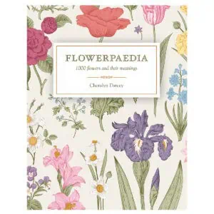 Botanical illustration of various flowers for Celtic spirituality and nature teachings.