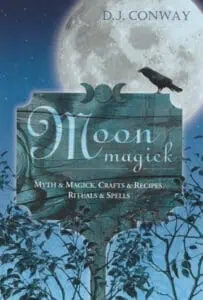 Book cover featuring a full moon, a crow, and Celtic-inspired design elements.