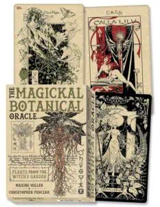 Set of oracle cards inspired by Celtic spirituality, nature, and botanical symbolism.