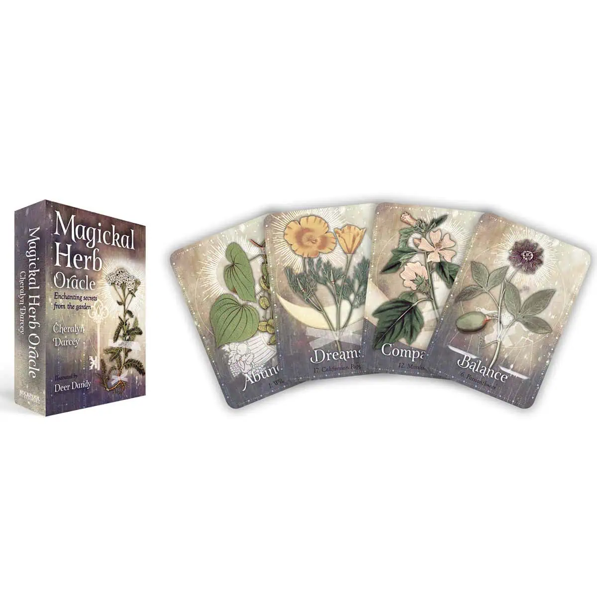 Oracle card set featuring four botanical illustrations for spiritual guidance.