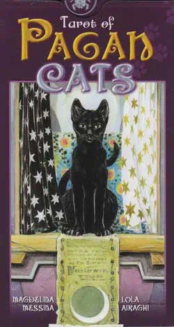 A black cat sitting on a decorated table with celestial and star patterns in the background.