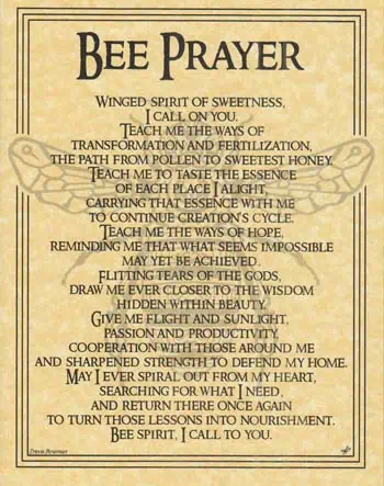 Close-up of a printed bee prayer on aged paper, emphasizing spirituality and nature.