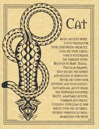 Illustration of a Celtic snake symbol with a cat, representing Celtic spirituality and nature revere.