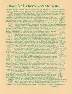 A detailed text about Celtic trees and their spiritual significance.
