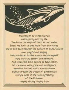Dolphin illustration with bubbles, symbolizing harmony and connection with nature.