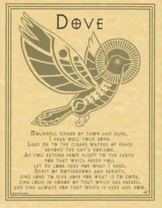 Dove illustration with Celtic-style patterns and a halo, symbolizing peace and spirituality.