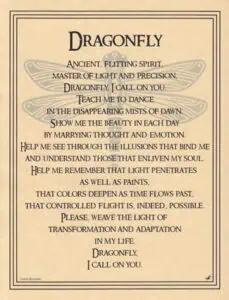 A dragonfly illustration with wings spread, centered on a beige parchment background.