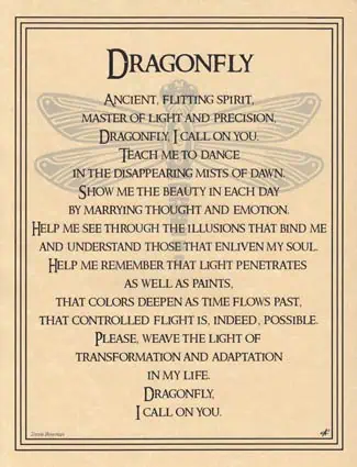 A dragonfly illustration with wings spread, centered on a beige parchment background.