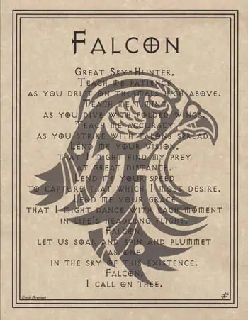 Illustration of a falcon with Celtic symbols, related to modern Celtic spirituality and druidry.