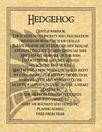 A poem about a hedgehog, a gentle warrior, with themes of curiosity, protection, and hope.