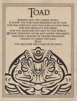 This website focuses on modern Celtic spirituality, druidry, nature veneration, and educational cont.